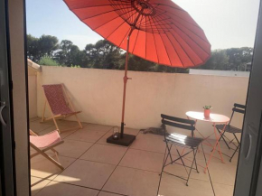 Appartement T2 avec grande terrasse vue mer